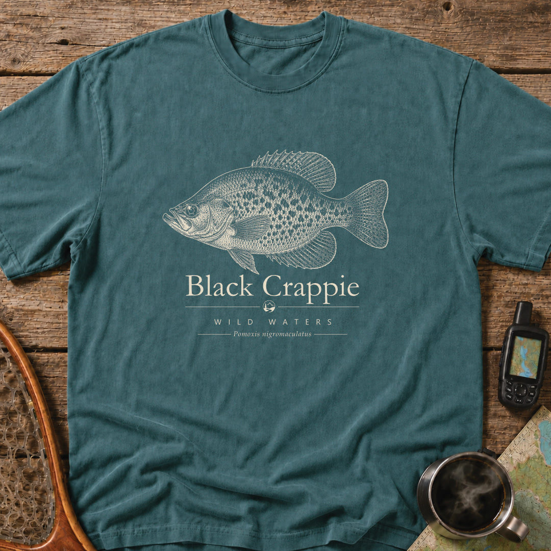 Black Crappie scientific fish illustration on a blue Comfort Colors t-shirt featuring the Wild Waters collection and the scientific name Pomoxis nigromaculatus.