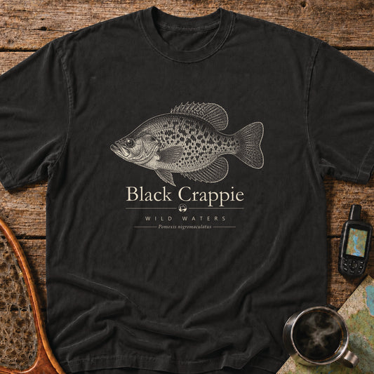 Black Crappie scientific fish illustration on a blue Comfort Colors t-shirt featuring the Wild Waters collection and the scientific name Pomoxis nigromaculatus.