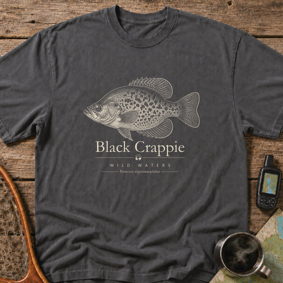 Black Crappie scientific fish illustration on a blue Comfort Colors t-shirt featuring the Wild Waters collection and the scientific name Pomoxis nigromaculatus.